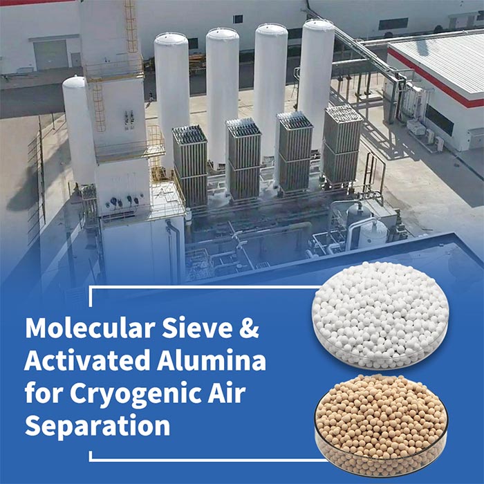 MOLSIEVE-1.jpg